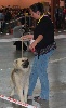  - Exposition canine de Nîmes