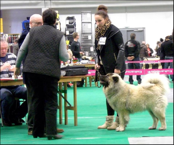 de l'Odyssée des Muses - Résultats d'expo de notre production